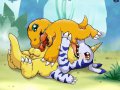 toon_1239567591639_254018_20-_20Agumon_20Digimon_20gabumon_20momiji-kun[1].jpg